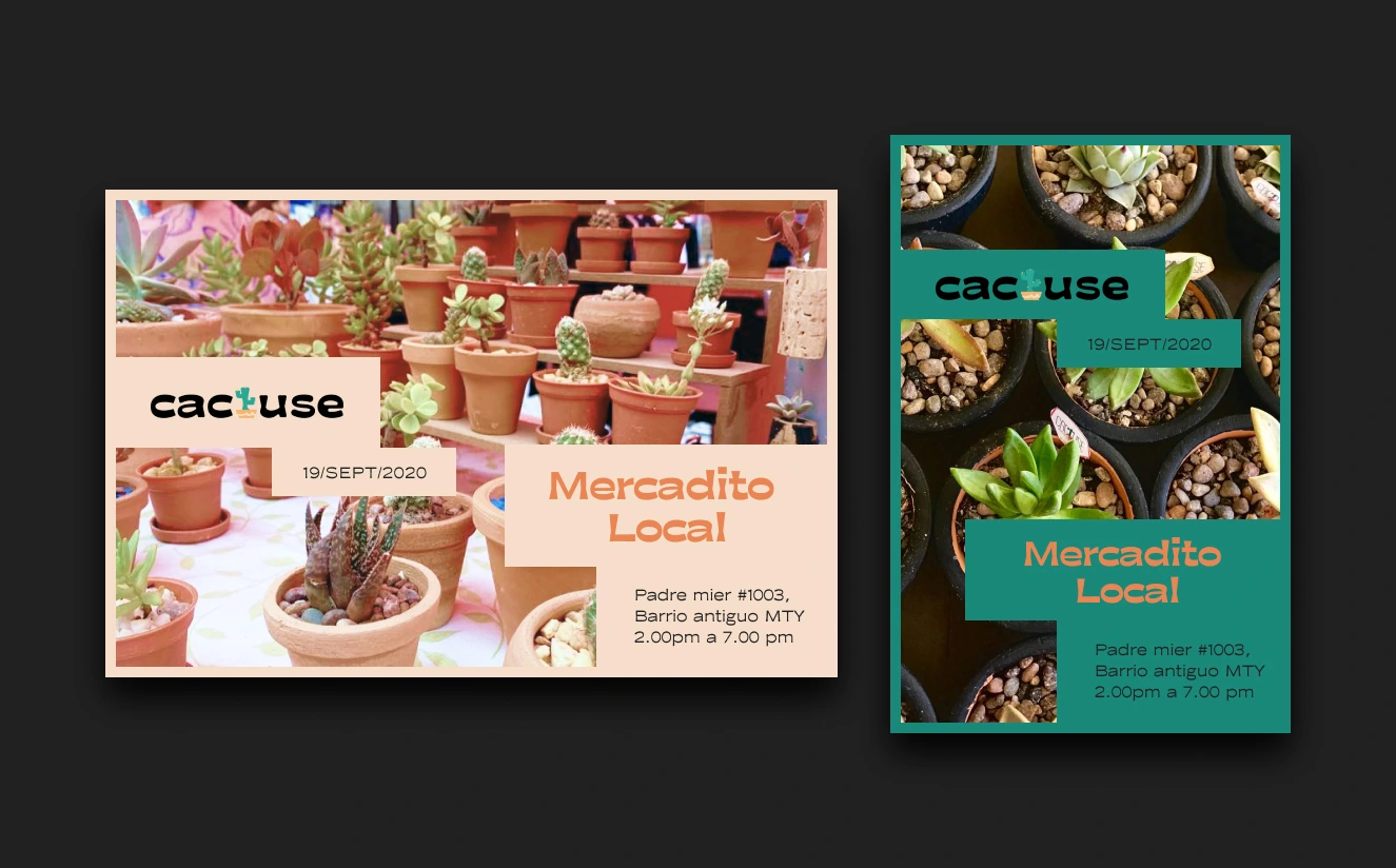 Cactuse